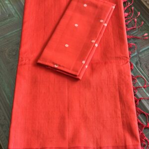 Saree 10